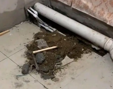曹妃甸卫生间漏水检测哪家好